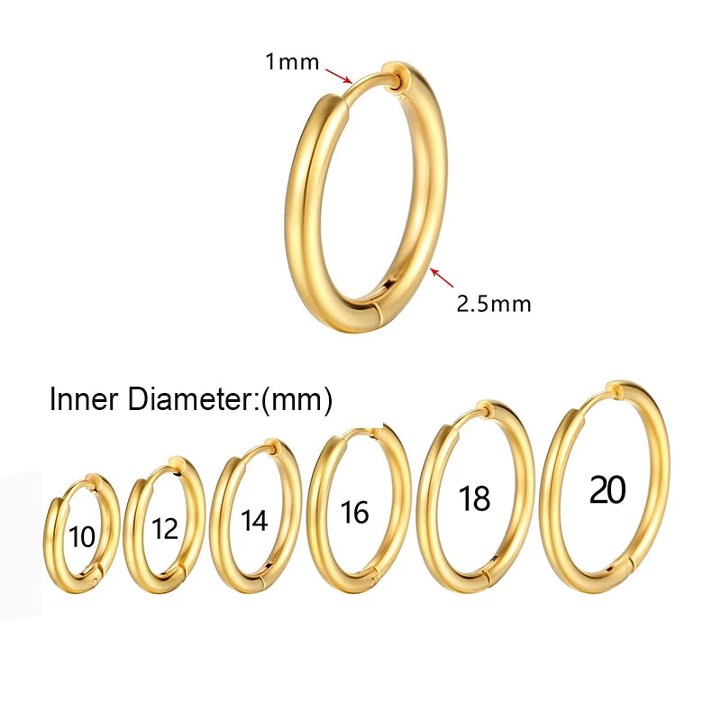2 Pieces Classic Round Hoop Earrings 2.5mm Thick Gold or Silver