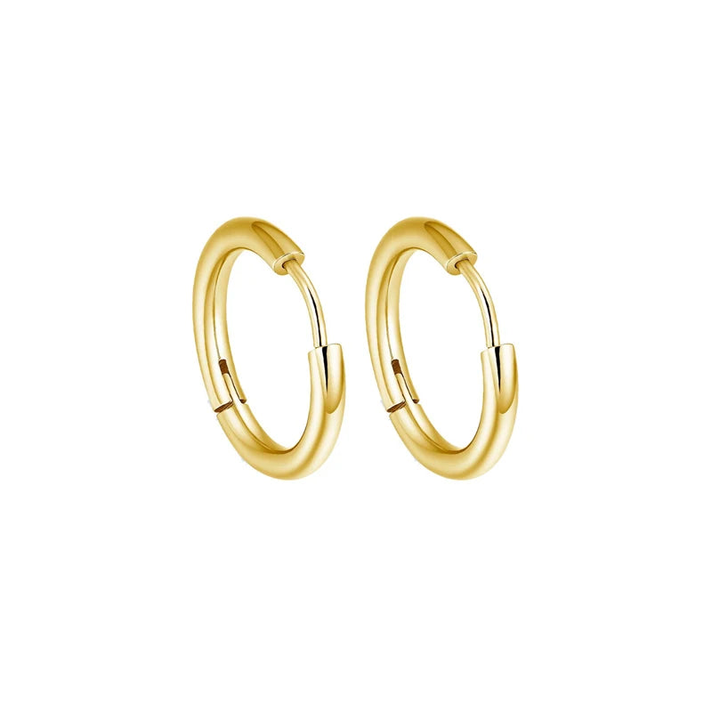 2 Pieces Classic Round Hoop Earrings 2.5mm Thick Gold or Silver